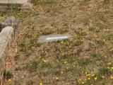 image of grave number 653811